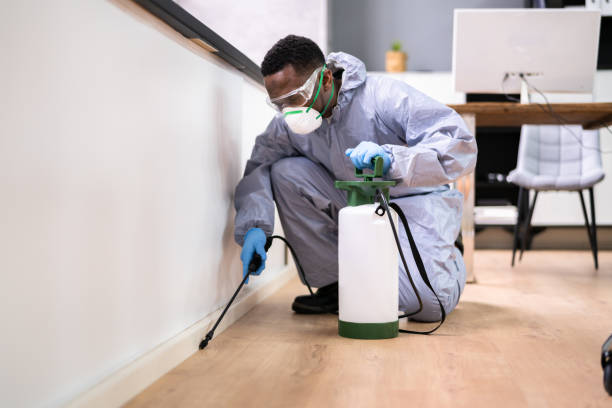 Best Pest Prevention Services  in Greensburg, LA